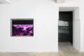 Landscaping 풍경조망중 - Galerie Georges-Philippe & Nathalie Vallois